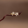 Picture of Pearl Flower Ring with Diamond