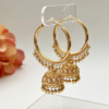 Picture of Jhumka Earrings Gold Hoop Earrings
